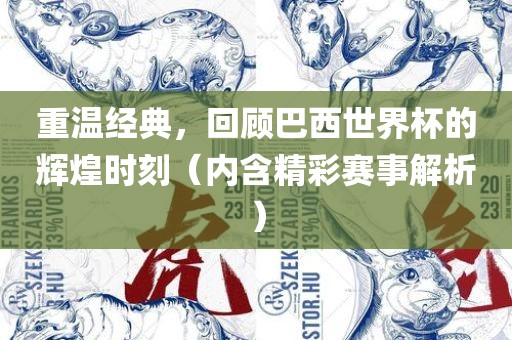重温经典，回顾巴西世界杯的辉煌时刻（内含精彩赛事解析）漯河市盈旭机械设备有限公司