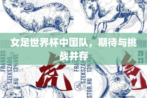 女足世界杯中国队，期待与挑战并存漯河市盈旭机械设备有限公司