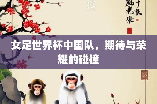女足世界杯中国队，期待与荣耀的碰撞