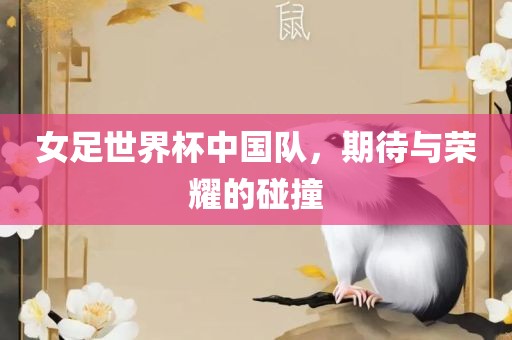 女足世界杯中国队，期待与荣耀的碰撞