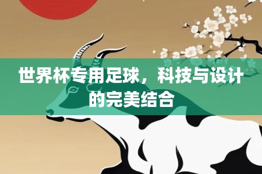 世界杯专用足球，科技与设计的完美结合