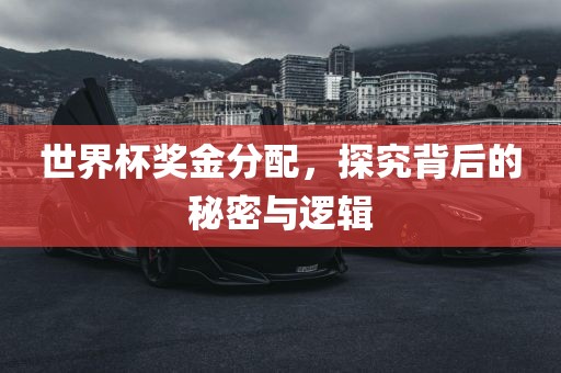 世界杯奖金分配，探究背后的秘密与逻辑
