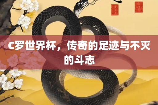 C罗世界杯，传奇的足迹与不灭的斗志漯河市盈旭机械设备有限公司