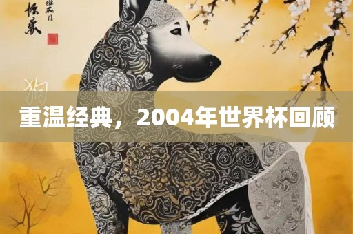 重温经典，2004年世界杯回顾