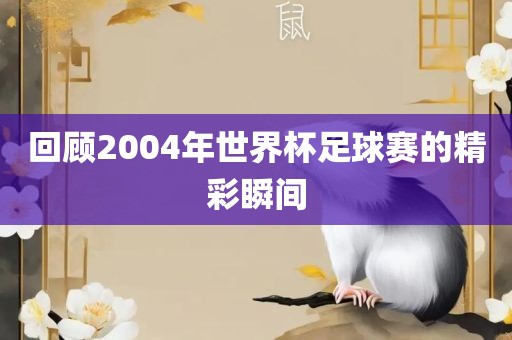 回顾2004年漯河市盈旭机械设备有限公司世界杯足球赛的精彩瞬间
