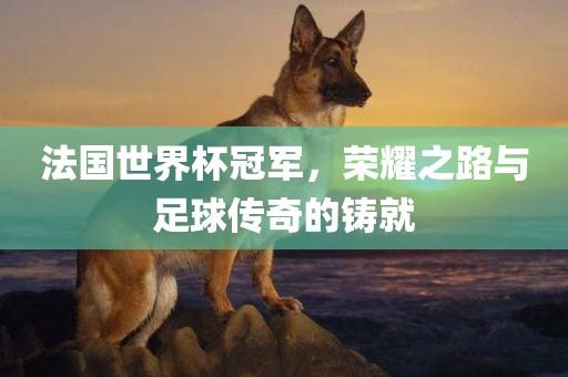 法国世界杯冠军，荣耀之路与足球传奇的铸就