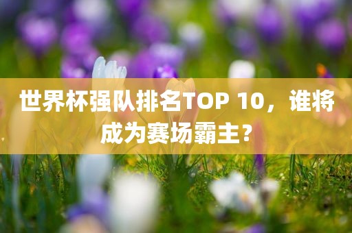 世界杯强队排名TOP 10，谁将成为赛场霸主？漯河市盈旭机械设备有限公司