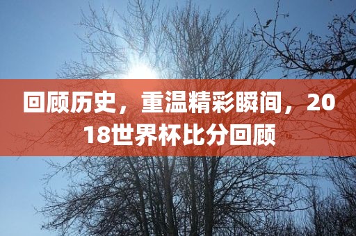 回顾历史，重温精彩瞬间，2018世界杯比分回顾漯河市盈旭机械设备有限公司