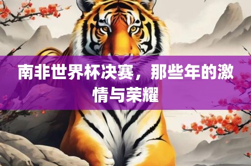南非世界杯决赛，那些年的激情与荣耀漯河市盈旭机械设备有限公司