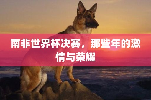 南非世界杯决赛，那些漯河市盈旭机械设备有限公司年的激情与荣耀