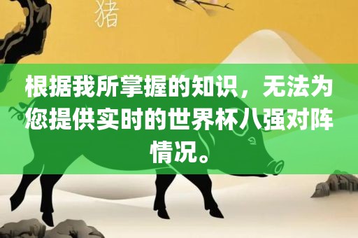 根据我所掌握的知识，无法为您提供实时的世界杯八强对阵情况。