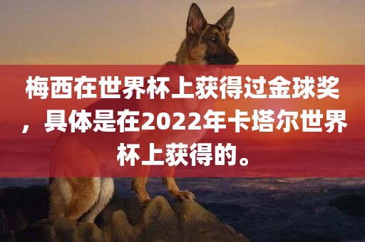 梅西在世界杯上获得过金球奖，具体是在2022年卡塔尔世界杯上获得的。漯河市盈旭机械设备有限公司