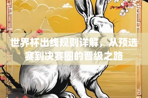 世界杯出线规则详解，从预选赛到决赛圈的晋级之路
