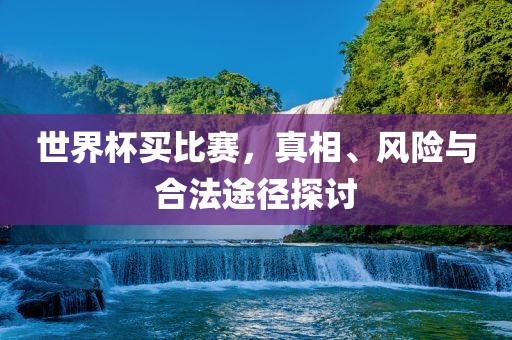 世界杯买比赛，真相、风险与合法途径探讨漯河市盈旭机械设备有限公司