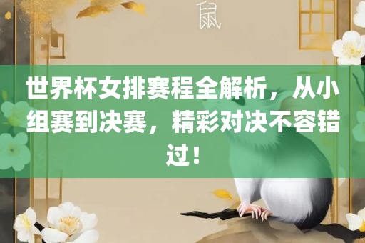 世界杯女排赛程全解析，从小组赛到决赛，精彩对决不容错过！