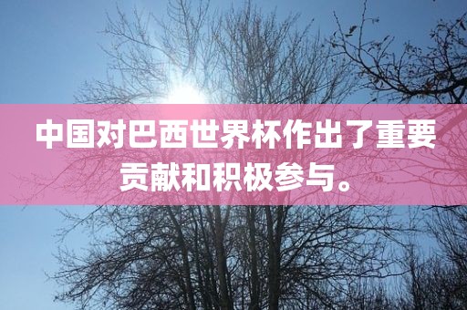 中国对巴西世界杯作出了重要贡献和积极参与。漯河市盈旭机械设备有限公司