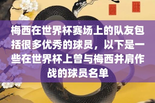 梅西在世界杯赛场上的队友包括很多优秀的球员，以下是一些在世界杯上曾与梅西并肩作战的球员名单
