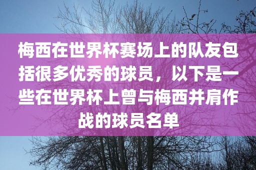 梅西在世界杯赛场上的队友包括很多优秀的球员，以下是一些在世界杯上曾与梅西并肩作战的球员名单