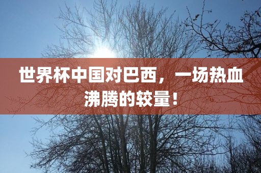世界杯中国对巴西，一场热血沸腾的较漯河市盈旭机械设备有限公司量！