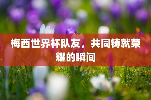 梅西世界杯队友，共同铸就荣耀的瞬间漯河市盈旭机械设备有限公司