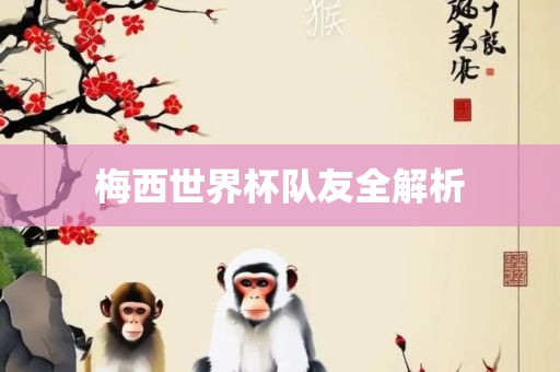 梅西世界杯队友全解析