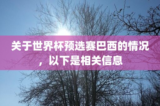关于世界杯预选赛巴西的情况，以下是相关信息漯河市盈旭机械设备有限公司