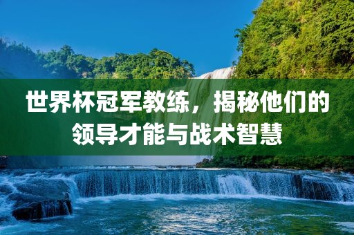 世界杯冠军教练，揭秘他们的领导才能与战术智慧