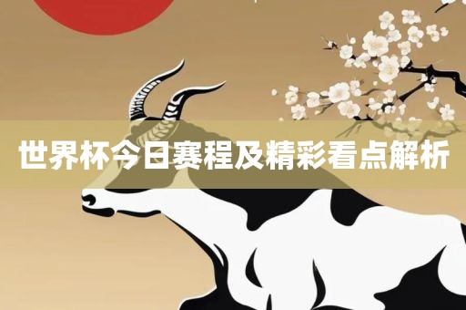 世界杯今日赛程及精彩看点解析
