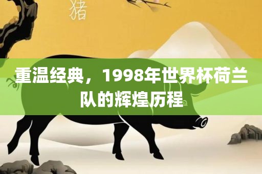 重温经典，1998年世界杯荷兰队的辉煌历程