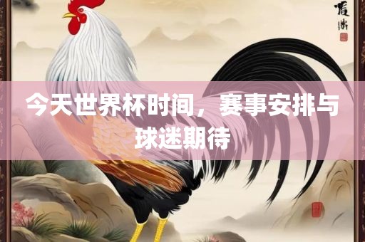 今天世界杯时间，赛事安排与球迷期待