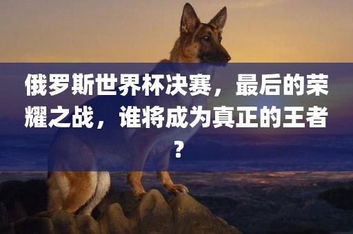 俄罗斯世界杯决赛，最后的荣耀之战，谁将成为真正的王者？