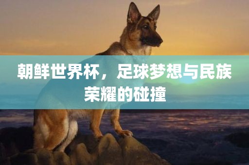 朝鲜世界杯，足球梦想与民族荣耀的碰撞