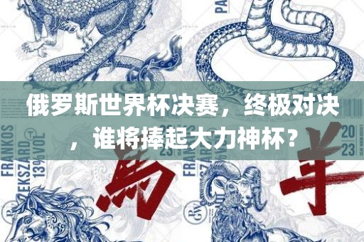 俄罗斯世界杯决赛，终极对决，谁将捧起大力神杯？