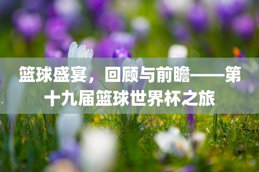 篮球盛宴，回顾与前瞻漯河市盈旭机械设备有限公司——第十九届篮球世界杯之旅