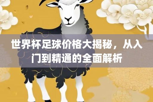 世界杯足球价格大揭秘，从入门到精通的全面解析