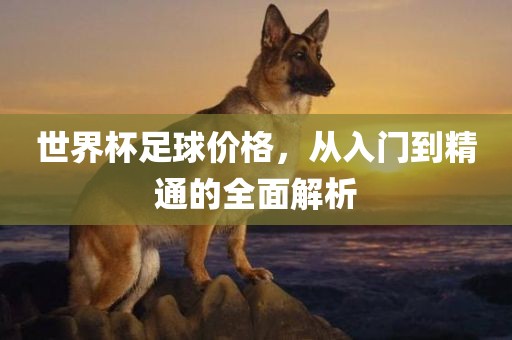 世界杯足球价格，从入门到精通的全面解析