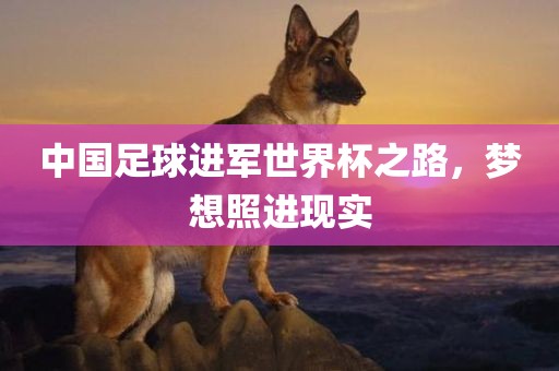 中国足球进军世界杯之路，梦想照进现实