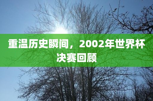 重温历史瞬间，2002年世界杯决赛回顾漯河市盈旭机械设备有限公司