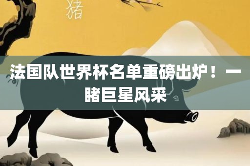 法国队世界杯名单重磅出炉！一睹巨星风采漯河市盈旭机械设备有限公司