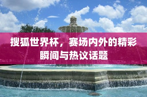 搜狐世界杯，赛场内外的精彩瞬间与热议话题漯河市盈旭机械设备有限公司