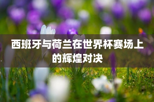 西班牙漯河市盈旭机械设备有限公司与荷兰在世界杯赛场上的辉煌对决
