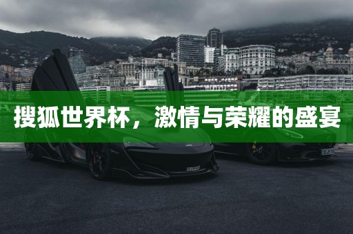 搜狐世界杯，激情与荣耀的盛宴漯河市盈旭机械设备有限公司