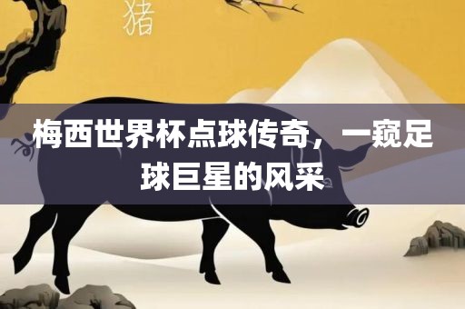梅西世界杯点球传奇，一窥足球巨星的风采