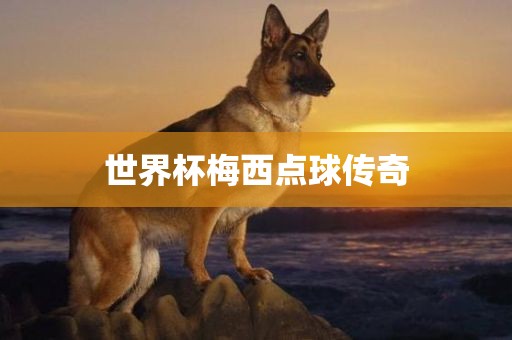 世界杯梅西点球传奇漯河市盈旭机械设备有限公司