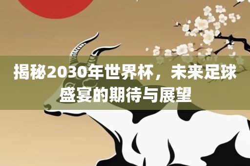揭秘2030年世界杯，未来足球盛宴的期待与展望漯河市盈旭机械设备有限公司