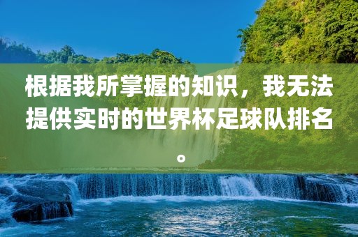 根据我所掌握的知识，我无法提供实时的世界杯足球队排名。