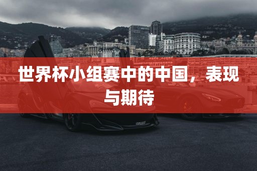 世界杯小组赛中的中国，表现与期待漯河市盈旭机械设备有限公司