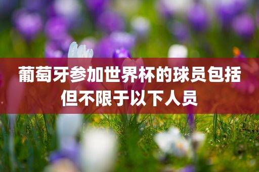 葡萄牙参加世界杯的球员包括但不限于以下人员