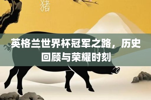 英格兰世界杯冠军之路，历史回顾与荣耀时刻漯河市盈旭机械设备有限公司