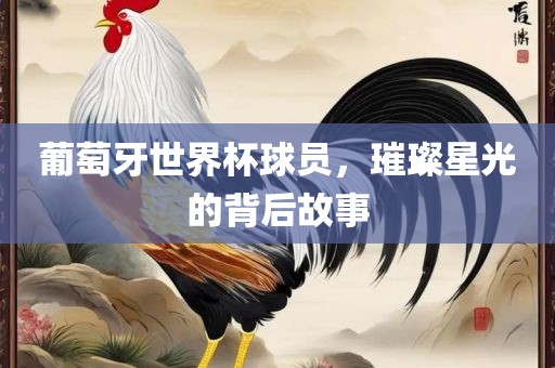 葡萄牙世界杯球员，璀璨星光的背后故事